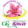 Dien Hoa Lily