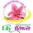 Dien Hoa Lily